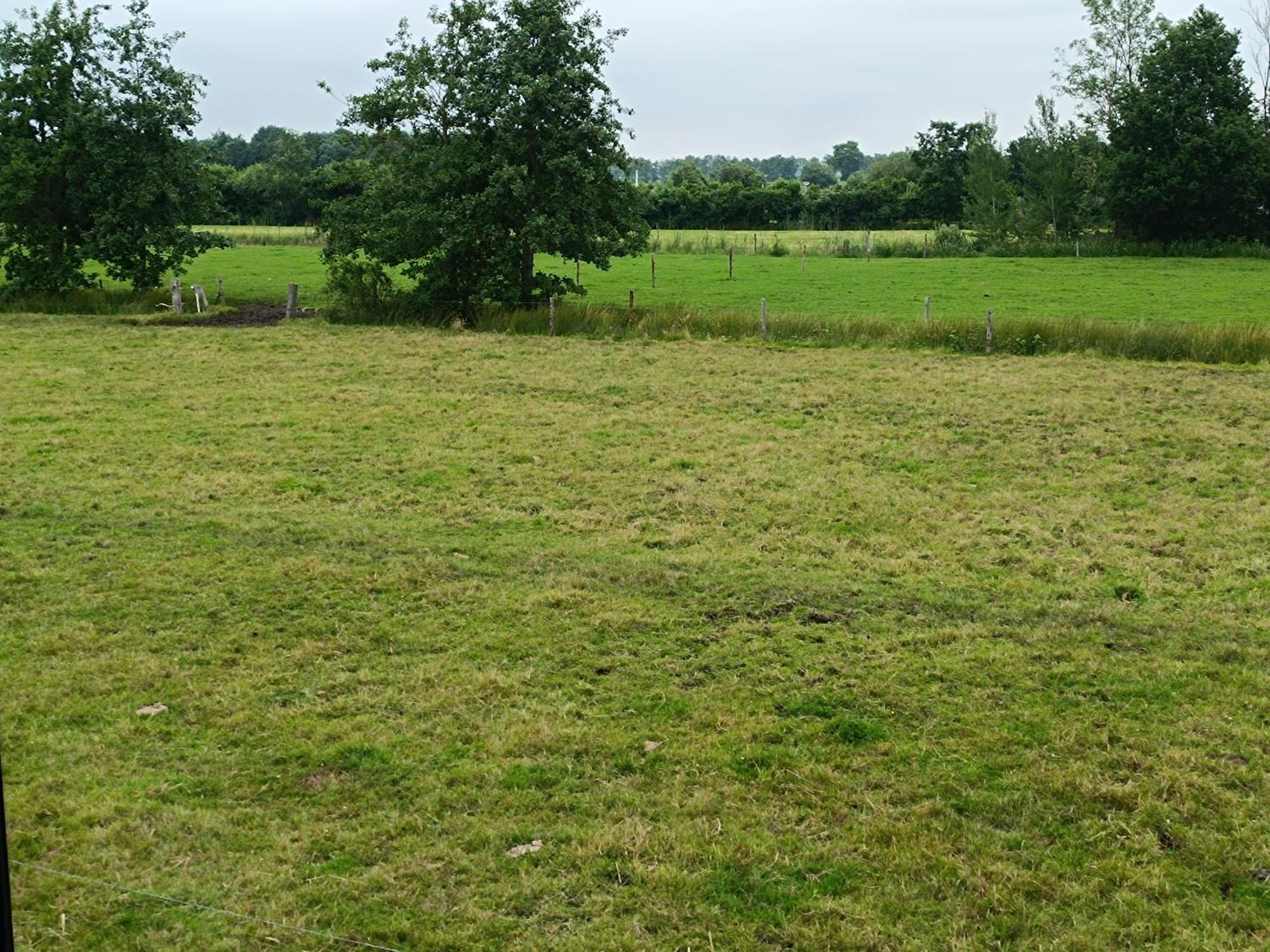 De Perenhoeve Ruinerwold Exterior foto